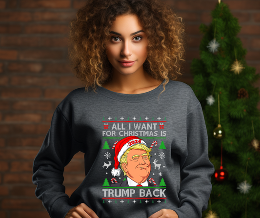 All I Want for Christmas Is Trump Back