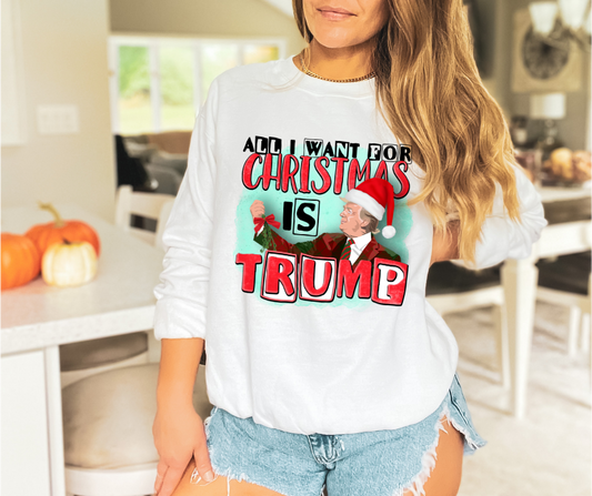 All I Want for Christmas Is Trump